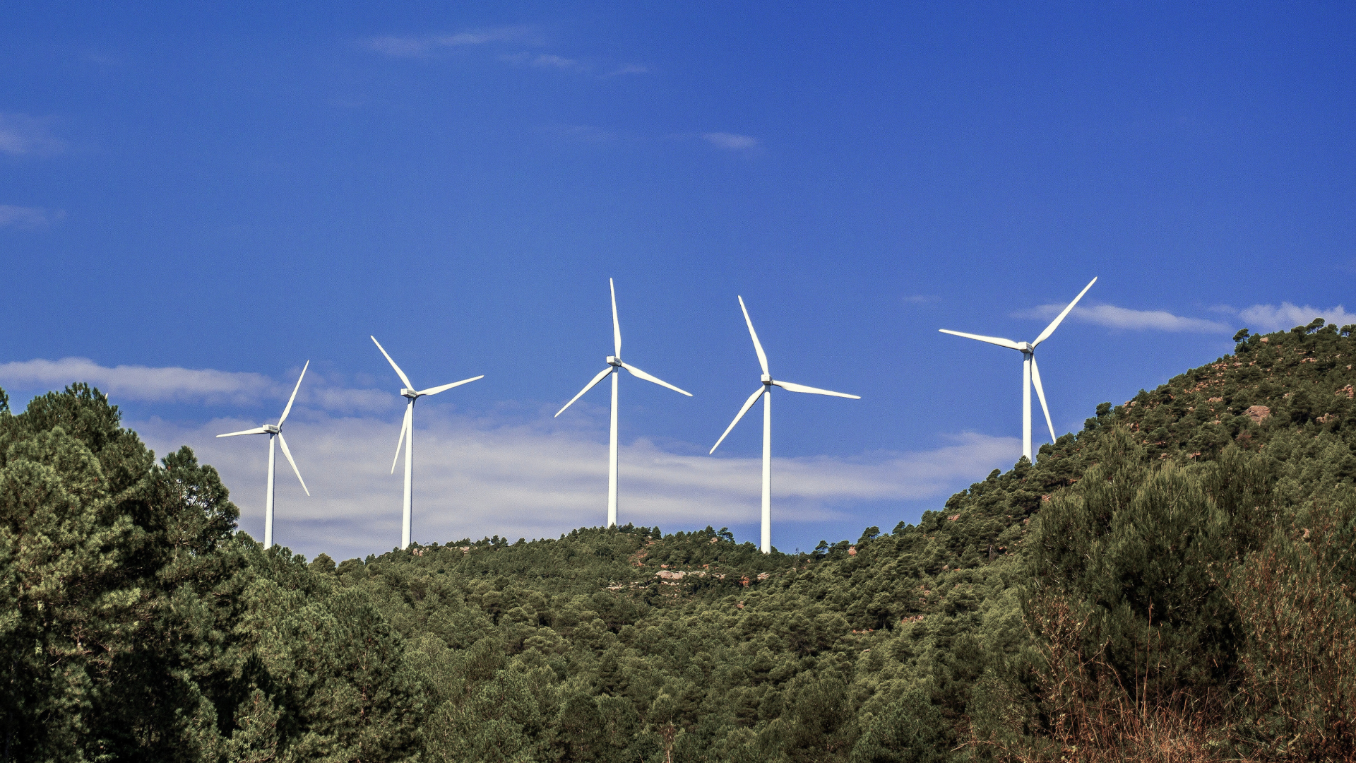 Key Issues at COP30